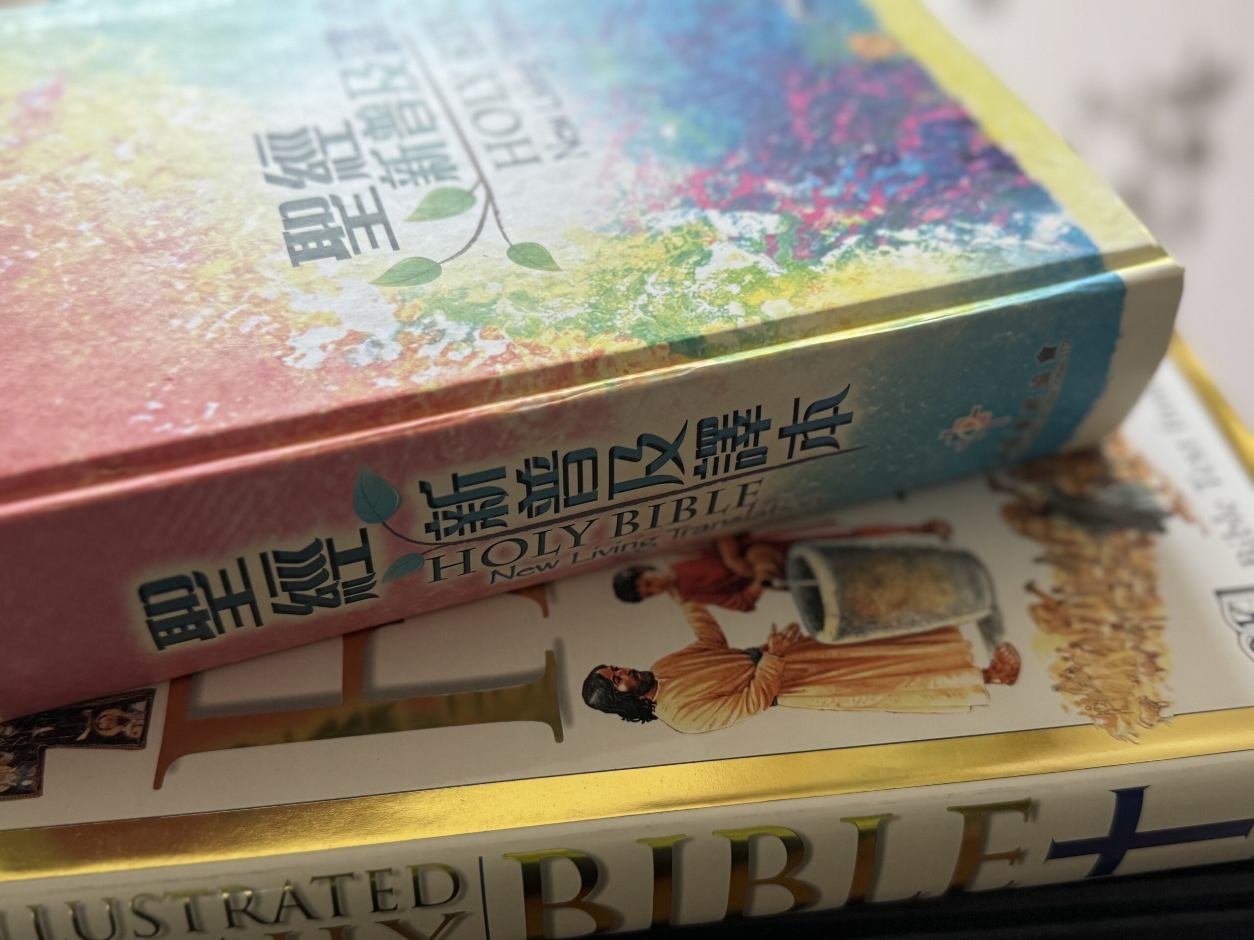 Bilingual Bible